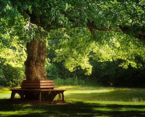 pila katr truhlárna